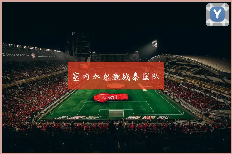 塞内加尔激战泰国队