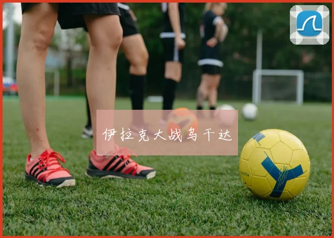 伊拉克大战乌干达