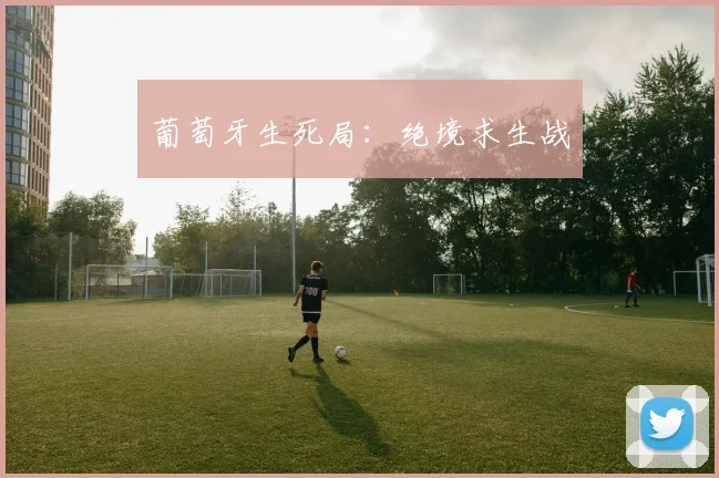 葡萄牙生死局：绝境求生战