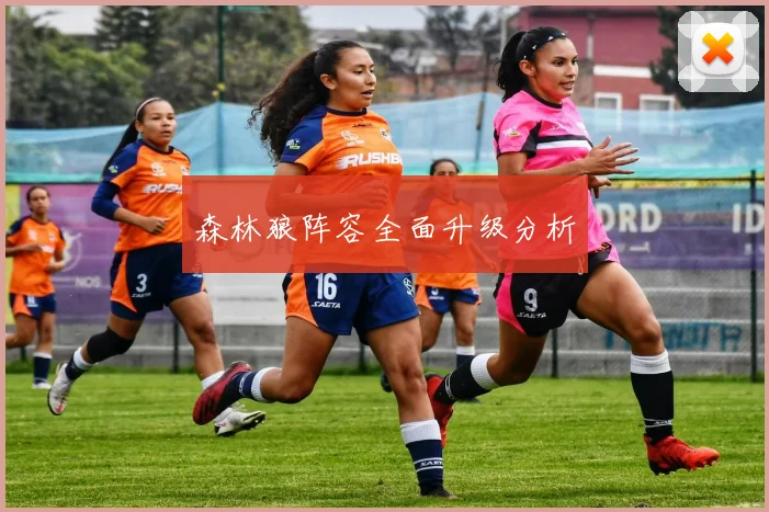 森林狼阵容全面升级分析