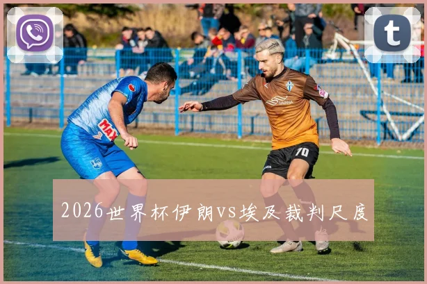 2026世界杯伊朗vs埃及裁判尺度