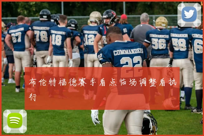 布伦特福德赛季看点临场调整看执行