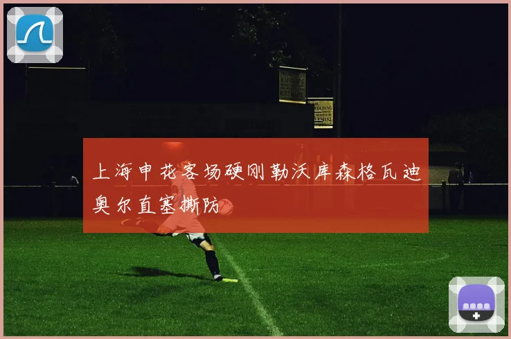 上海申花客场硬刚勒沃库森格瓦迪奥尔直塞撕防