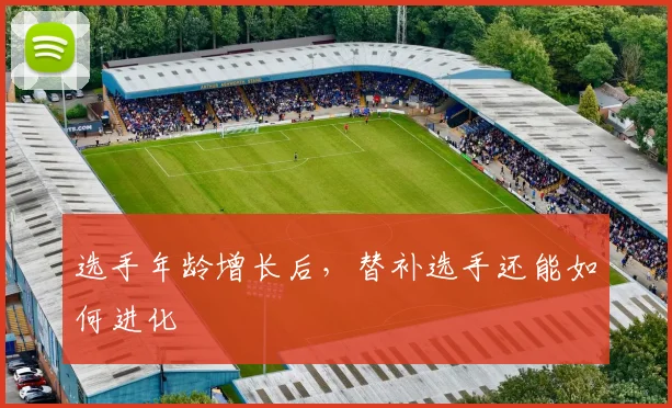 选手年龄增长后，替补选手还能如何进化